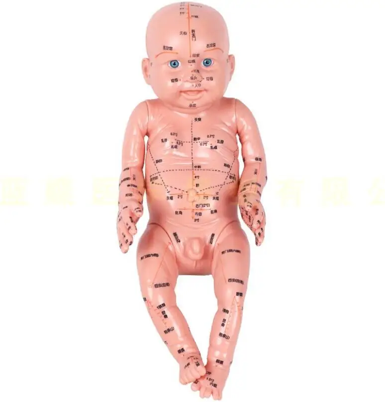 52cm Infant mannequin child doll mannequin infant acupuncture Chinese medicine model acupoint pediatric massage simulation model