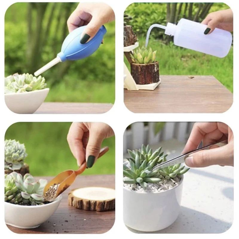 30 Pieces Unique Succulent Tool Set Suitable For The Care Of Indoor Miniature Garden And Plant  Garden Tools Outil De Jardin