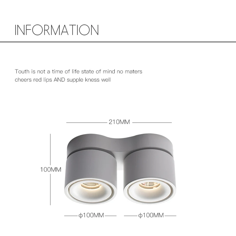 Surface Mounted Dimmable Rotating LED Ceiling Light, COB LED Spotlight, 20W / 24W, with AC110V / 220V LED Driver