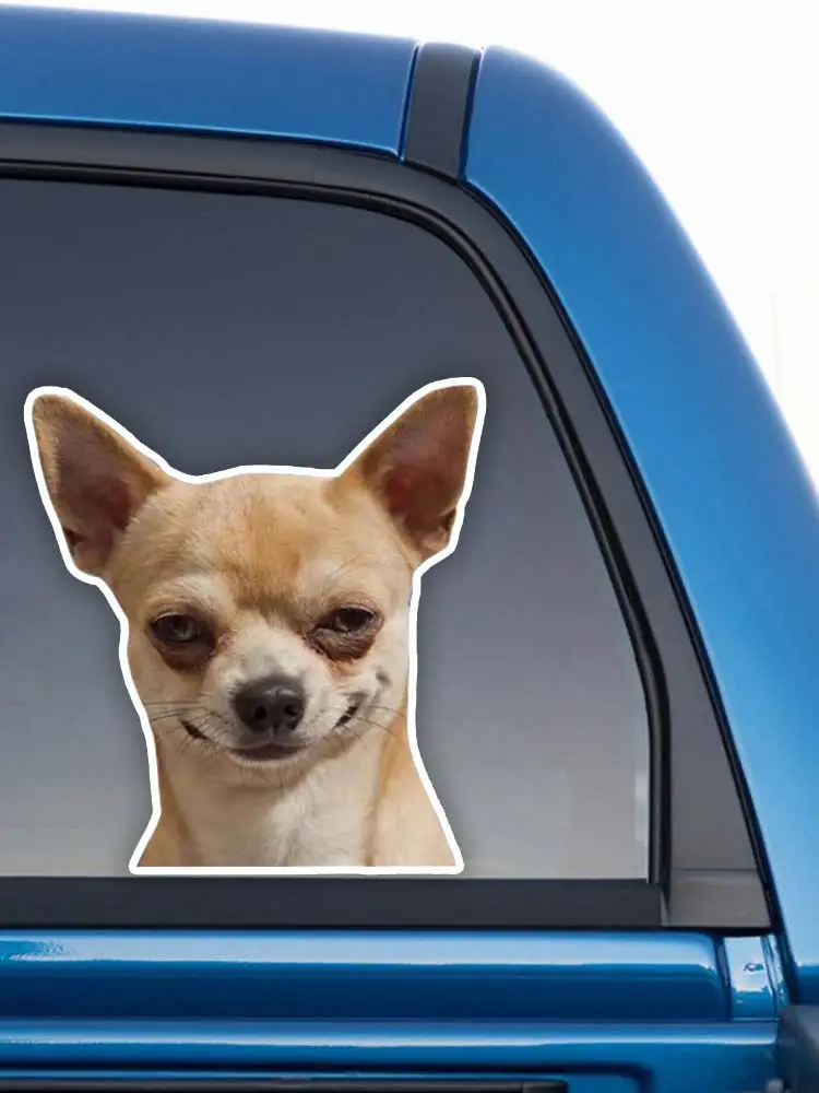 S50437# Various Sizes Personality PVC Decal Chihuahua Dog Waterproof Car Sticker on Motorcycle Laptop Decorative