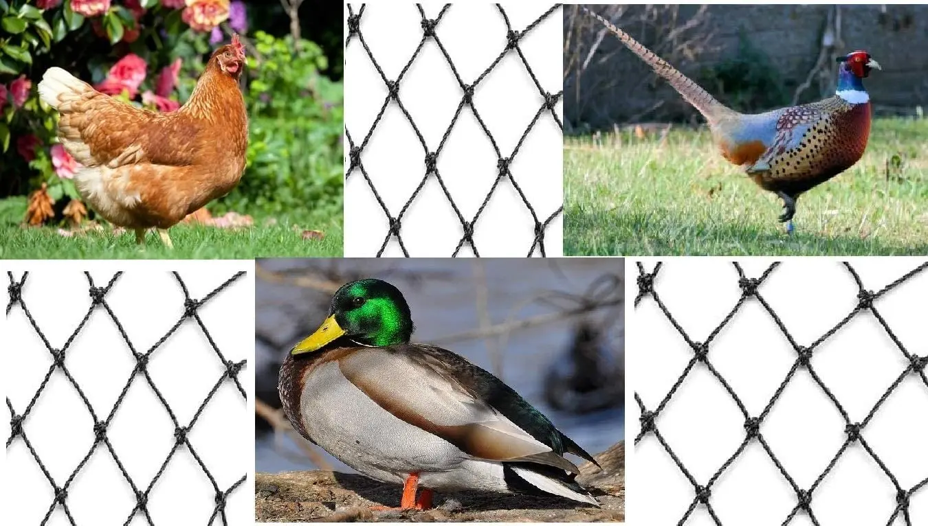 Vogel Netting Heavy Duty Anti Vogel Deer Schutzhülle Net Garten Netting für Kulturen Protecion Gegen Vögel, Katze, deer und Tiere – Detail 15