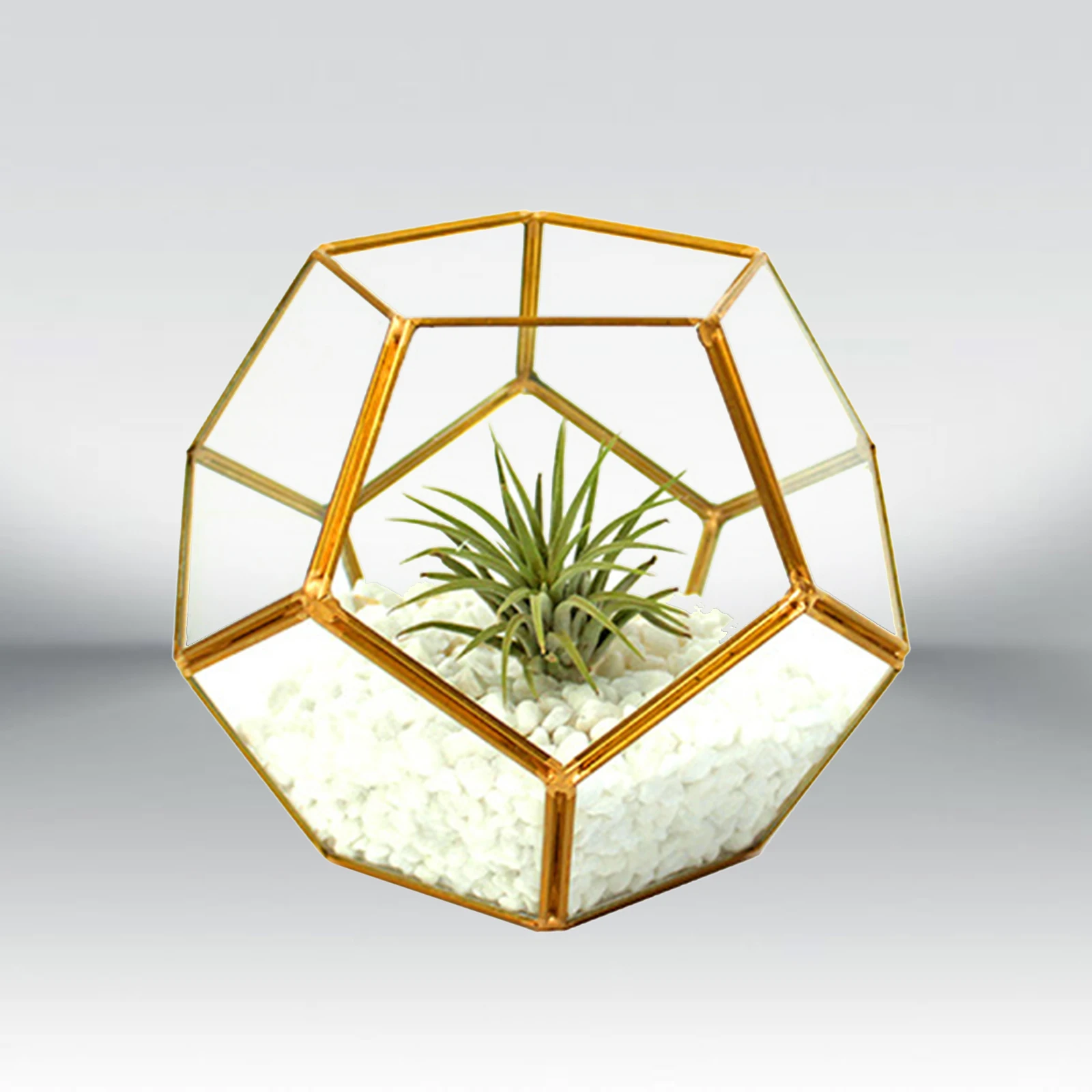 Geometric Terrarium Planter Flower Basket Garden Container Glass Display Box for Succulent Fern Moss Air Cactus Plants