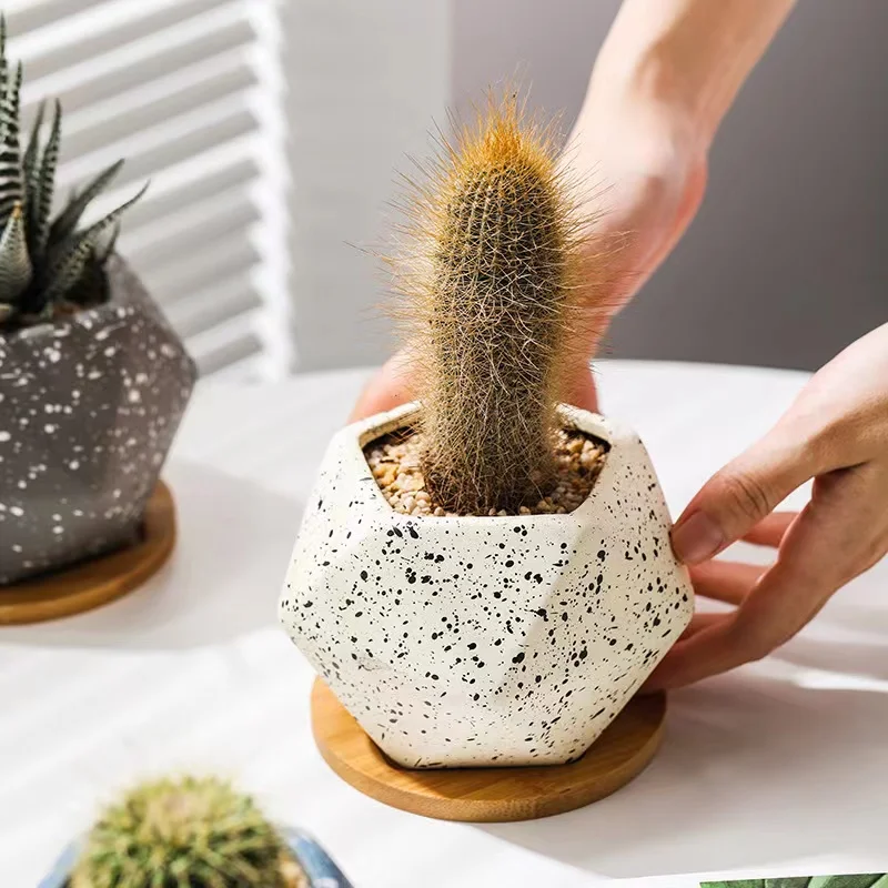 Degradable succulent plant kaolin flowerpot office desk ornament ceramic pentagon macaroon speckle mini vented vase