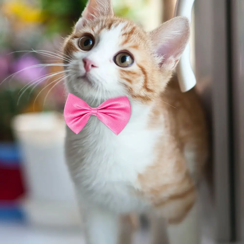 1 pz vari colori regolabile cane gatto a strisce fiocco collana per animali domestici Bowknot cravatta cane da compagnia collare per gatto accessori per toelettatura cani gatto