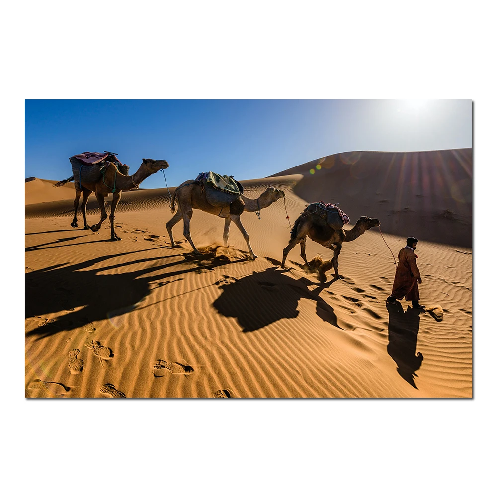 1 Piece Canvas Painting Camels in Sahara Desert Morocco Landscape Poster Wall Art Picture for Living Room Bedroom Decor