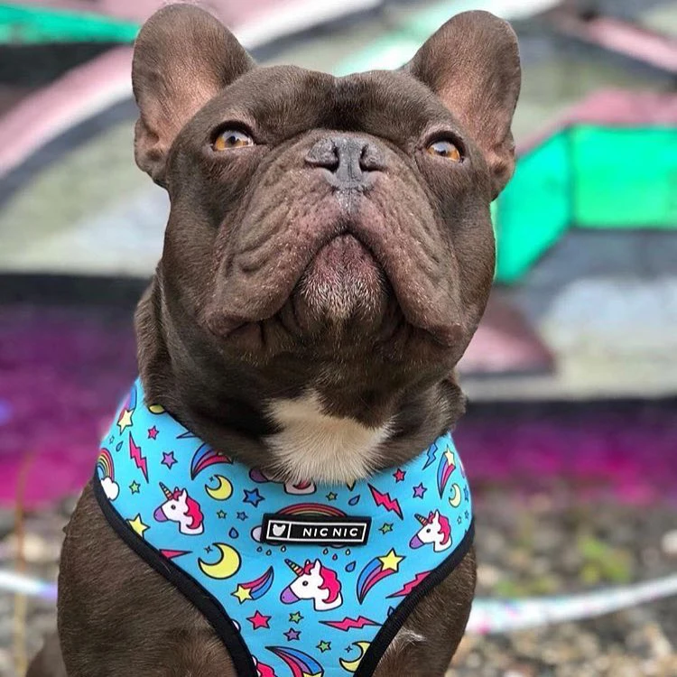 French Bulldog Harness Printed English Bulldog Frenchie Reversible Harness Puppy Small Dogs Vest for Pug Walking Training