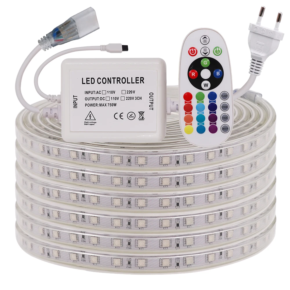 220V 5050 RGB LED Strip High brightness Flexible Led Light Tape Waterproof IP67 Led Stripe Outdoor Home Decor Light with Remote