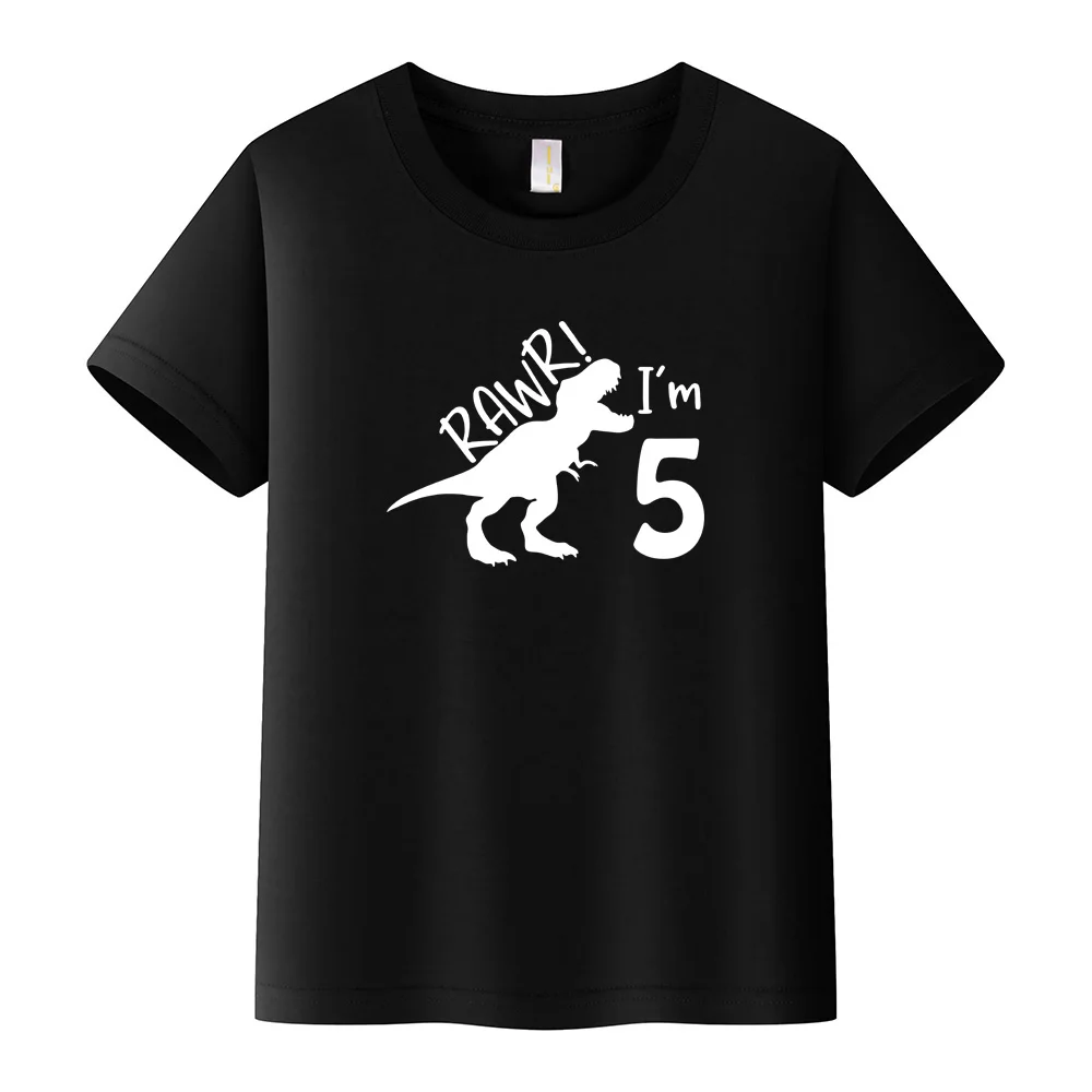 5rd Birthday Shirt boy Third Outfit 5 Year Old Toddler Gift Baby T shirt Party Shirts