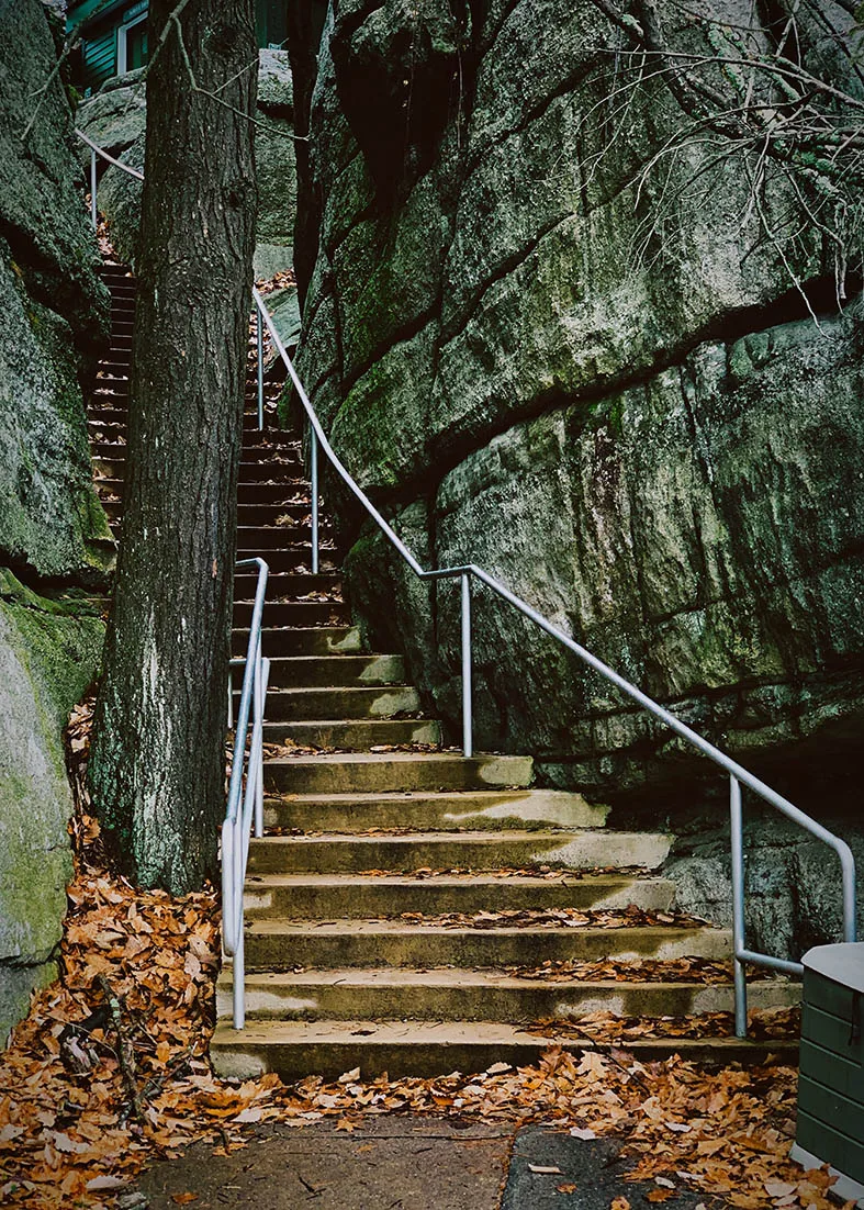 Fondo de fotografía de escalones de montaña, ramas de árbol, tela de vinilo, estudio fotográfico para retrato de niños, sesión de fotos de bebé