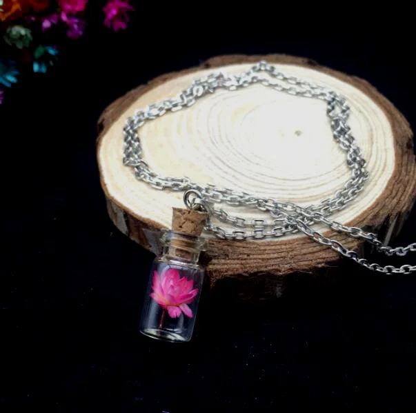 1 set of glass bottle with cork and necklace can be used to make DIY Necklace accessories for dry flowers