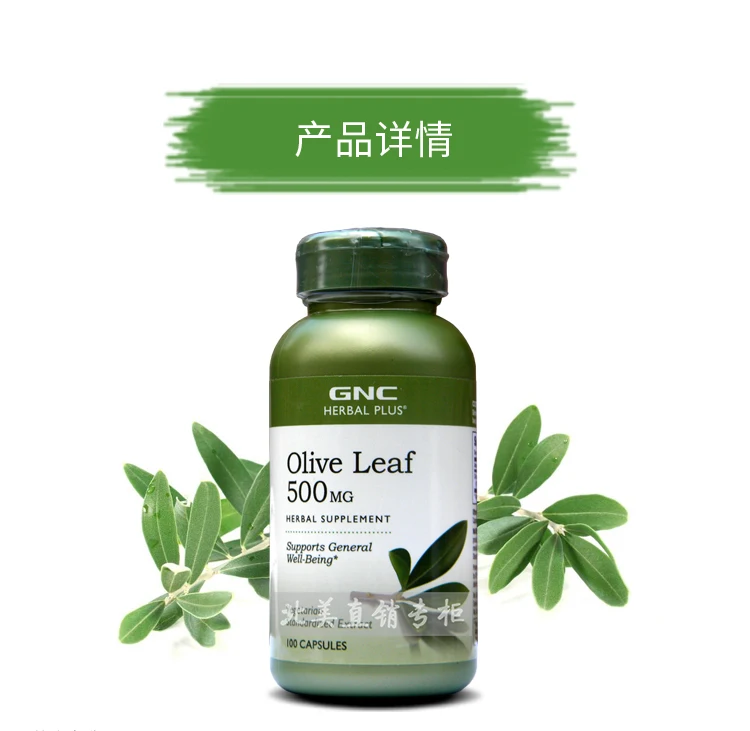 Free Shipping Olive Leaf 500 mg 100 Vegetarian Capsules.