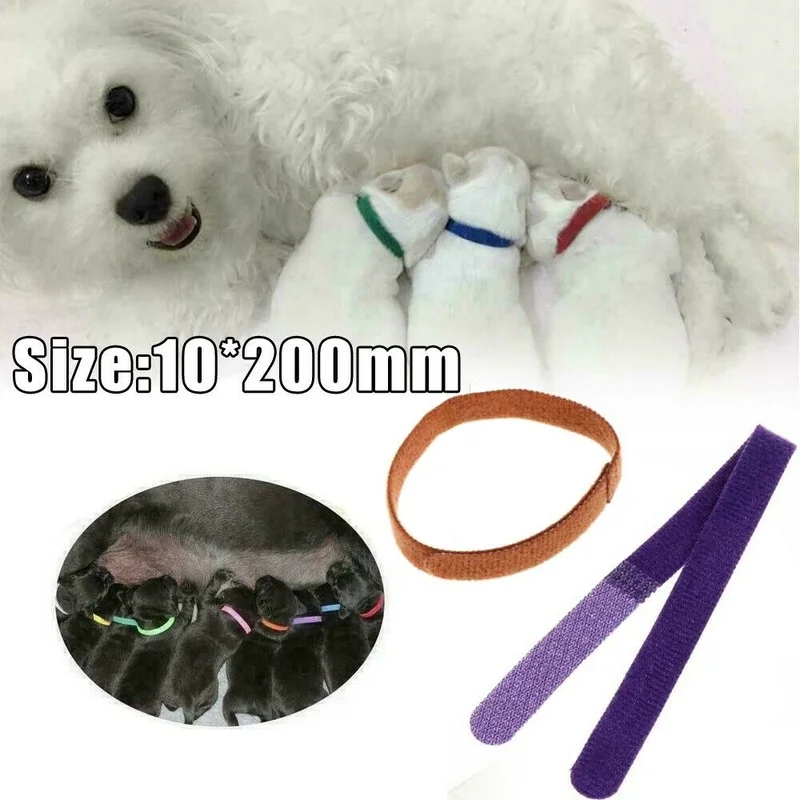 12 Pcs/Set Puppy Newborn Pets Identify Collars Adjustable Nylon Small Pet Dog Collars Kitten Necklace Whelping Puppy Collars