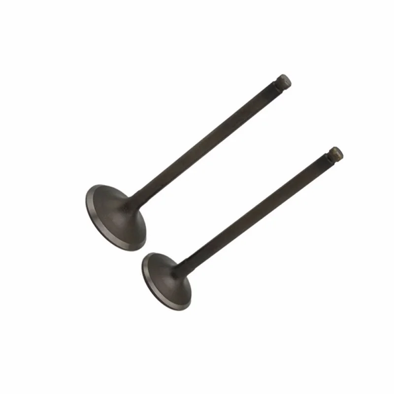 AHL 2pcs Intake & 1pc Exhaust Valve Kit Valve Stem Seals For Honda Steed 400 NTV600 NTV650 NT650 NV400 VT600C XL650V XRV750