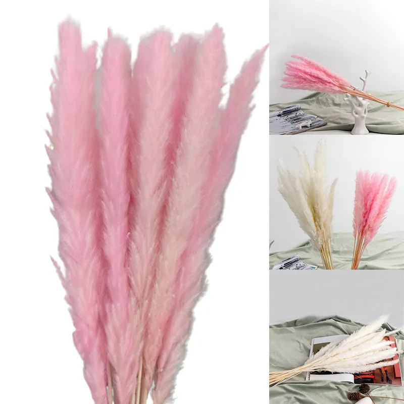 

15PCS Natural Dried Pampas Grass Reed Flower Bunch Wedding Bouquet Decors Home Living Room Decoration Sale Artificial Decoration