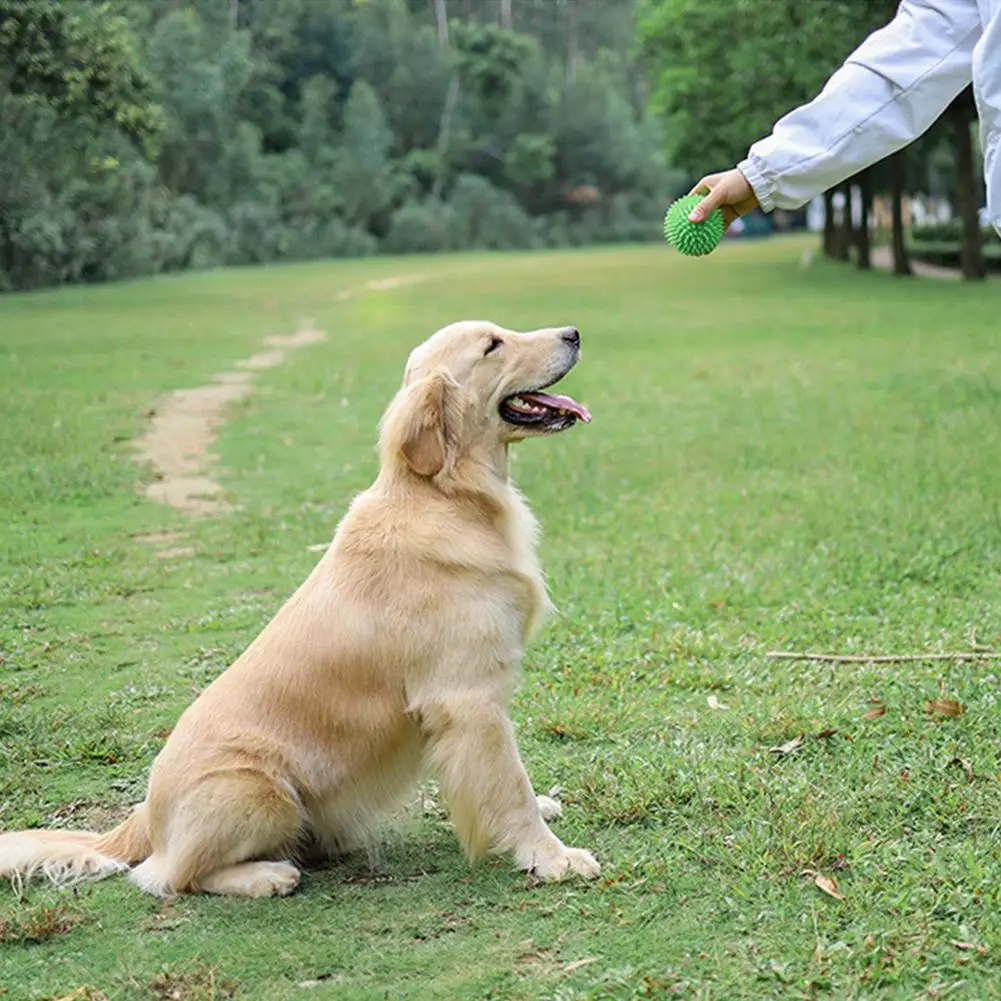 1PC zabawka dla zwierząt domowych piłka z piszczałką Pet Spike Ball Fetch żucia piłka zabawka ząbkowanie odporne na zużycie do gryzienia zabawki dla