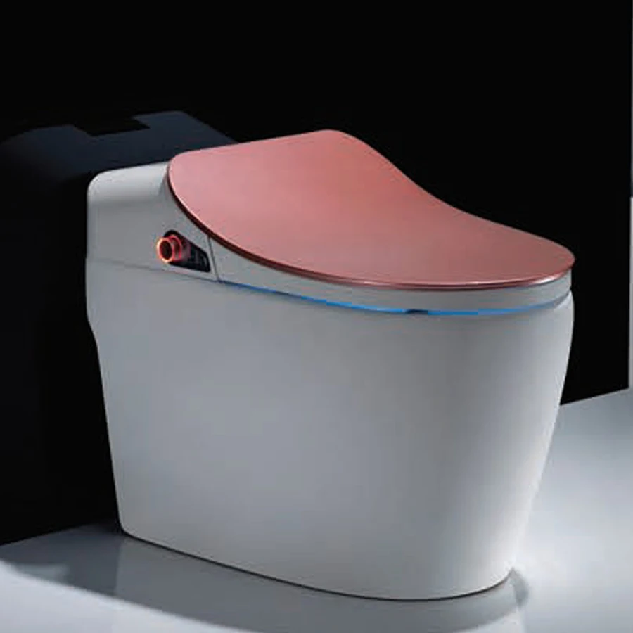 Made in China good quality one piece automatic smart toilet