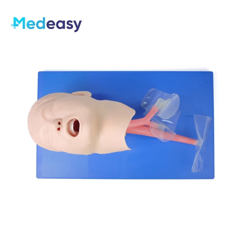 Adult Electric Endotracheal Intubation Training Manikin Child Tracheal Airway Intubation Model