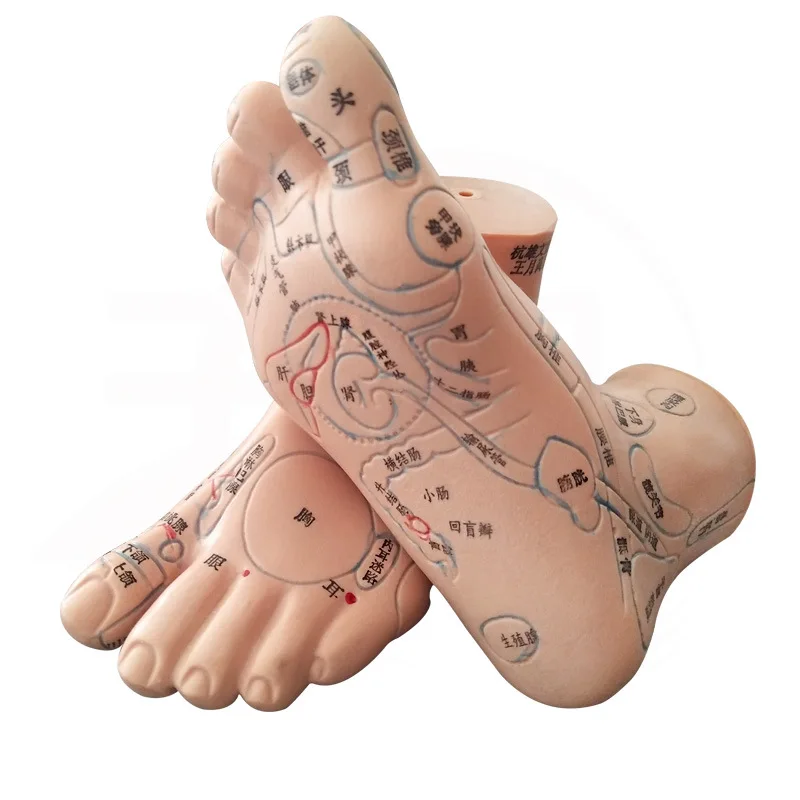 13cm Foot Reflex Zone Massage Model, Not Acupuncture Model, Foot Massage Model Chinese Language Feet Reflexology,1 Pair Medical