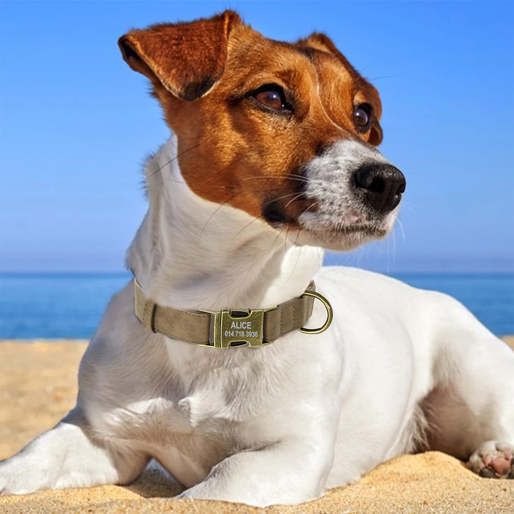 Personal isierte Hunde halsband Leine Set maßge schneiderte Hunde halsband Walking Blei Seil Leder Haustier Halsbänder für kleine mittelgroße Hunde Mops – Detail 40