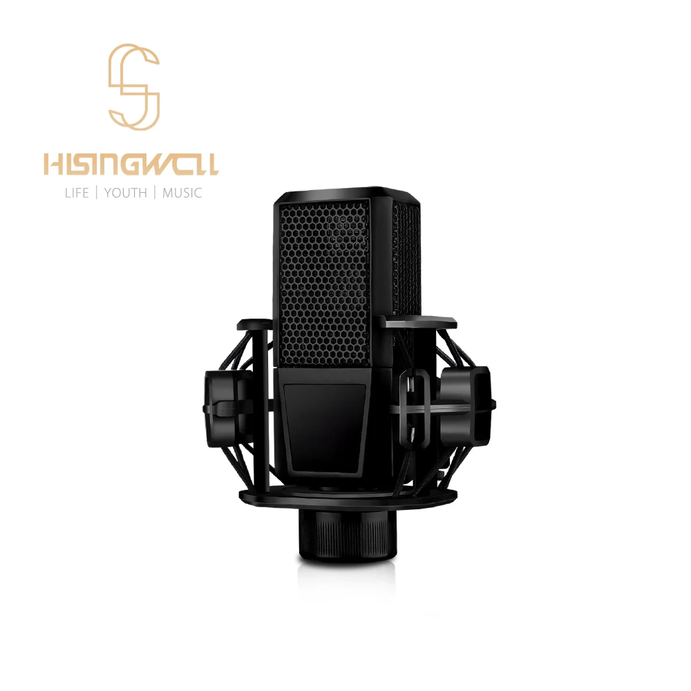 HISINGWELL Capacitive Microphone For Studio Recording, Podcasting, Recording, Live And Gaming, Full Metal Microphone（GT-240)