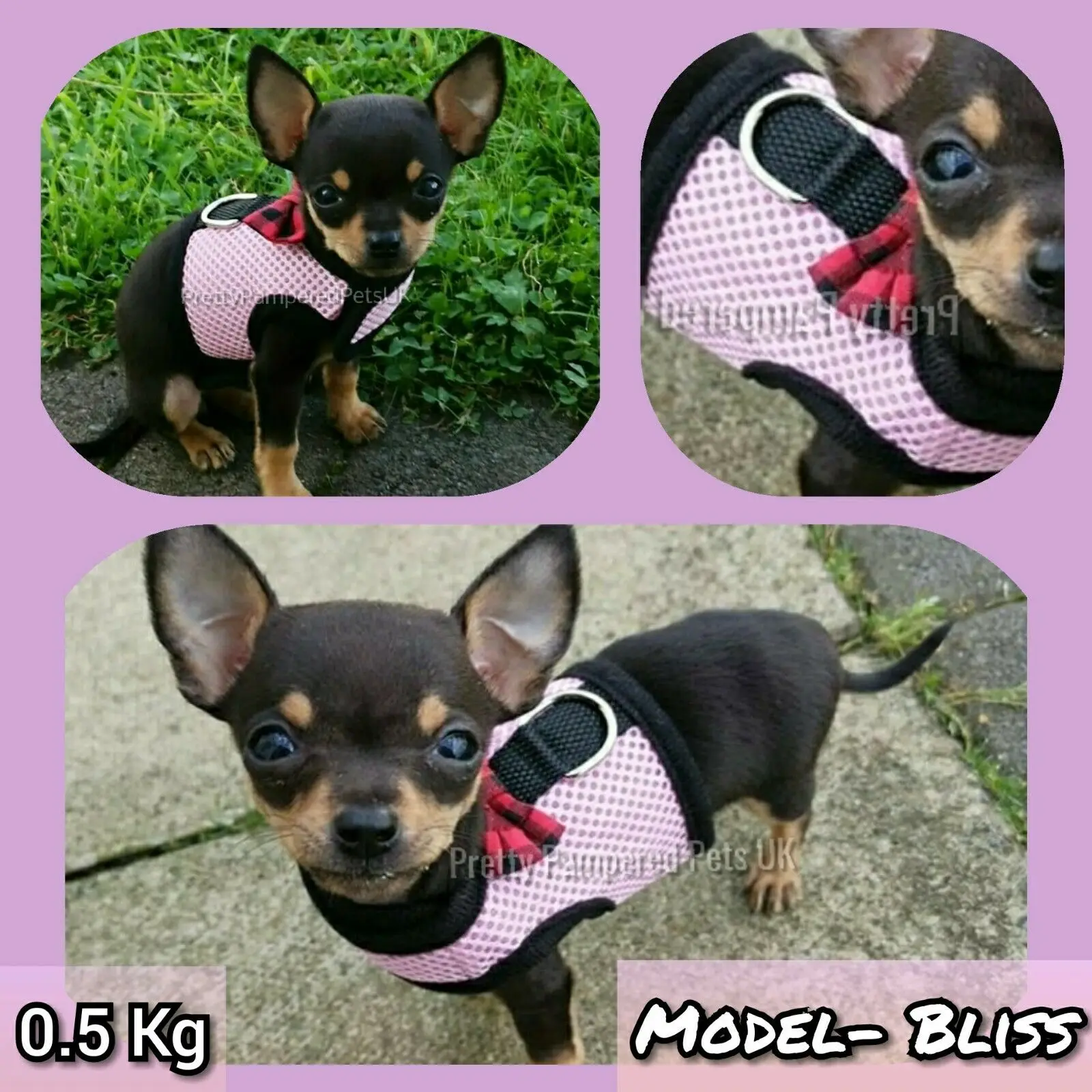 XXXS XXS XS Puppy Dog Teacup Chihuahua Harness Lead Mesh Vest for Tiny Kitty Cat Yorkie Maltese Rabbit Kitten Harness Vest