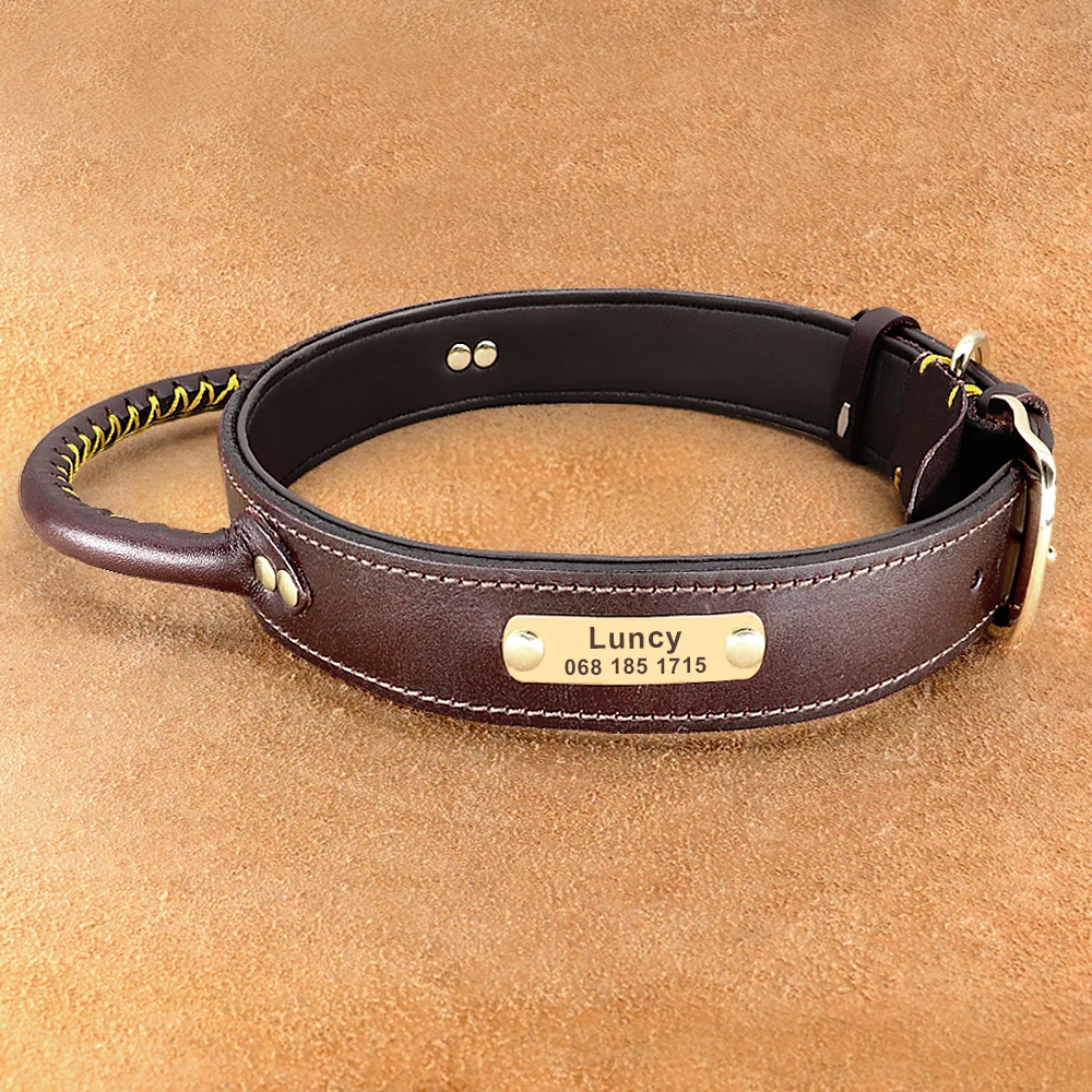 Collier de chien en cuir personnalisé avec étiquette d\'identification, plaque signalétique gravée gratuite, colliers pour animaux de compagnie avec