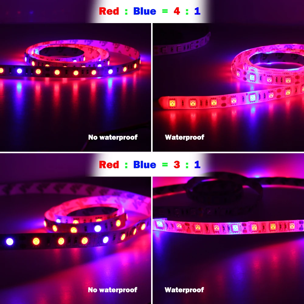 Imagem -06 - Indoor Led Crescer Luzes Dc12v 5630 à Prova Impermeável Água Crescente Led Strip Planta Crescimento Conjunto da Lâmpada 1m 2m 5m com Adaptador e Interruptor