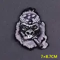 PE5542CT