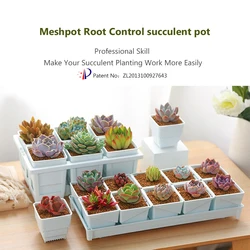 Meshpot Square Plastic Succulents Planter Pots With Tray Set,Nursery Pot Cactus Plant Pot Garden Pot