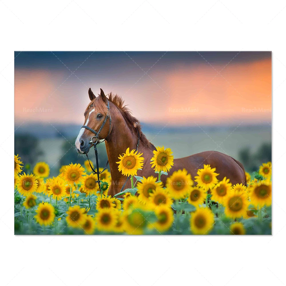 Scandinavian poster Nordic prints horse beach sand animal wall art canvas painting wild land nature picture living room decorati