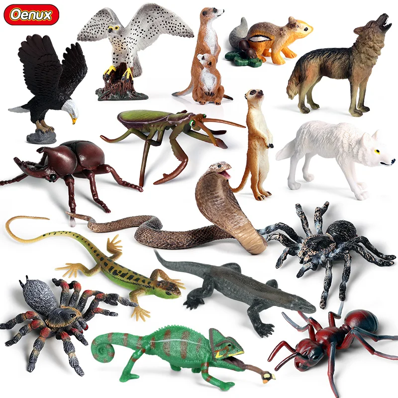 Oenux Reptile Wild Animals Action Figures Spider Lizard Snake Bird Solid PVC High Quanlity Model Figurines Cute Toy For Kid Gift