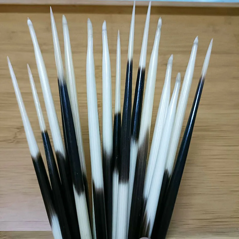 

High Quality Fish Float Hair Sticks Accessories Quills Real Porcupine Thorn White Black DIY Quill Buoy Multi-purpose Wholesale