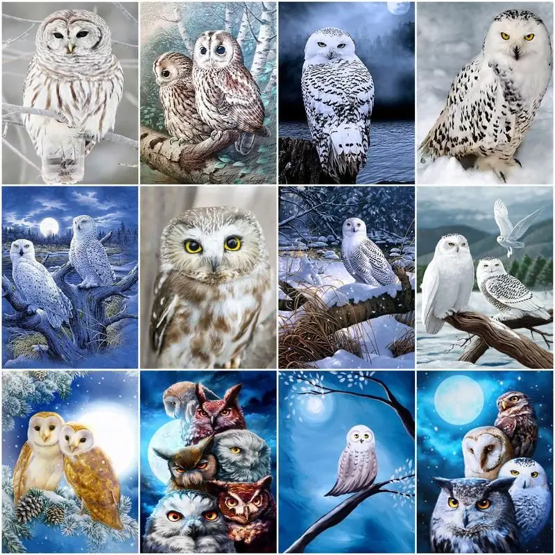 

CHENISTORY Painting By Number White Owl Drawing On Canvas Handpainted Paint Art Gift Diy Coloring By Number Night Animal Kits Ho