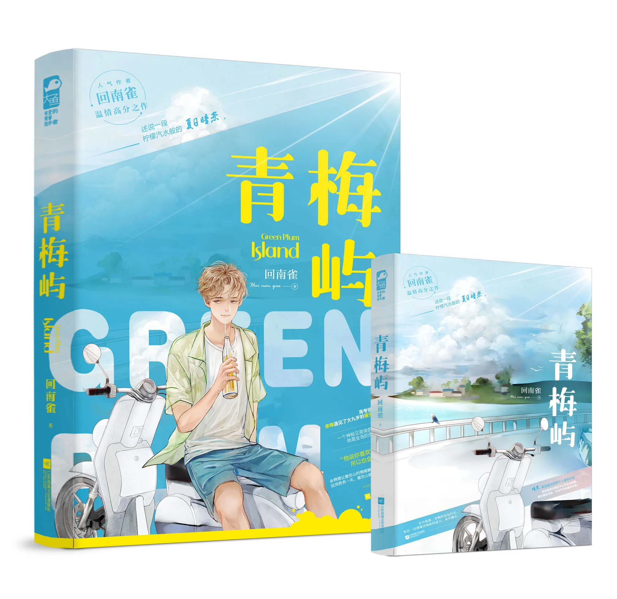 

New Green Plum Island Chinese Novel by Hui Nan Que Modern Urban Youth Literature Love Romance Novels Fiction Book