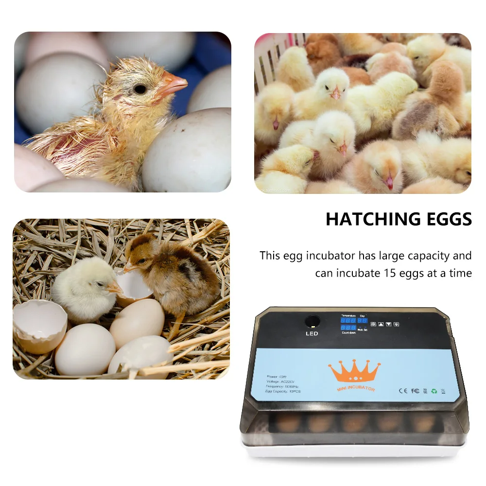 New Arrival Poultry Egg Incubator Automatic 15 Chicken Eggs Hatching Machine Dropshipping Hot sales 2021 Wholesale