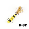 PMGB-M-001