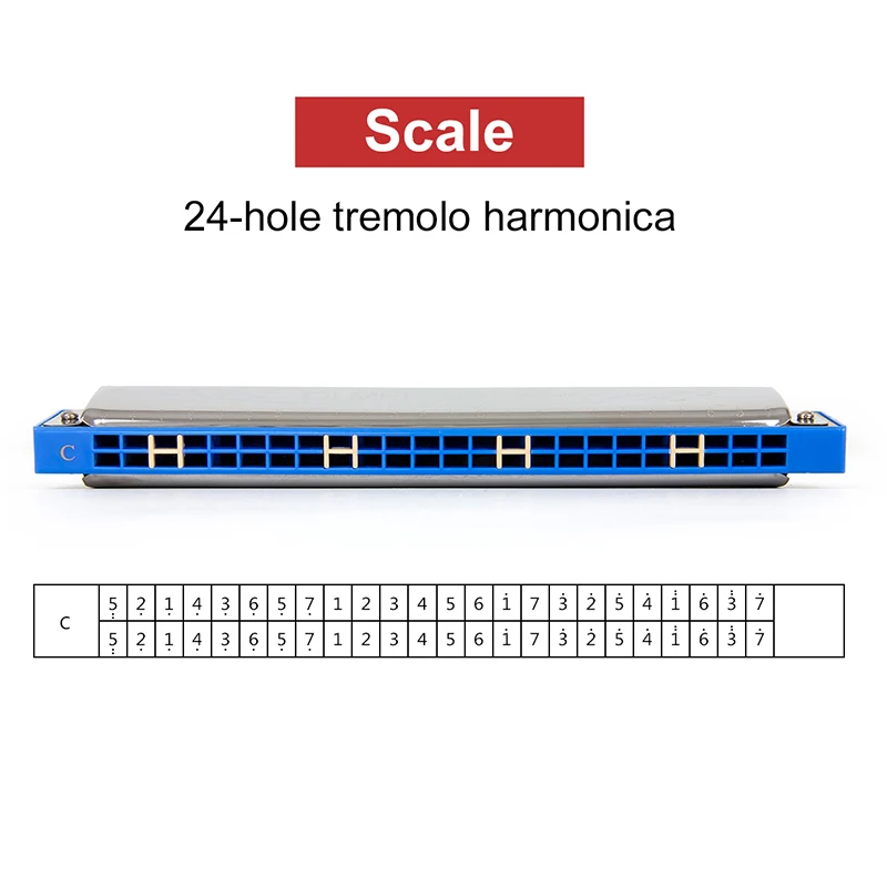 Tremolo Harmonica Mouth Organ French Harp Phosphor Bronze 24 Holes Key of C for Beginner sent from Russia