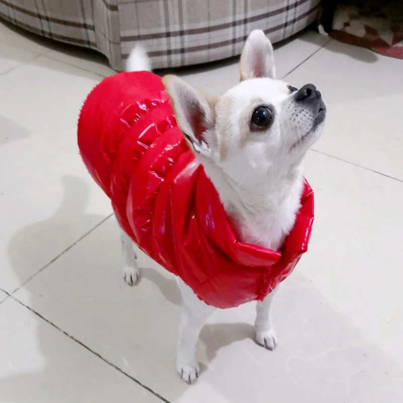 Warm Cotton Puppy Clothes Winter Pet Dog Down Jacket for Small Dogs Chihuahua Maltese Cat Coat Dogs Pets Clothing ropa de perro