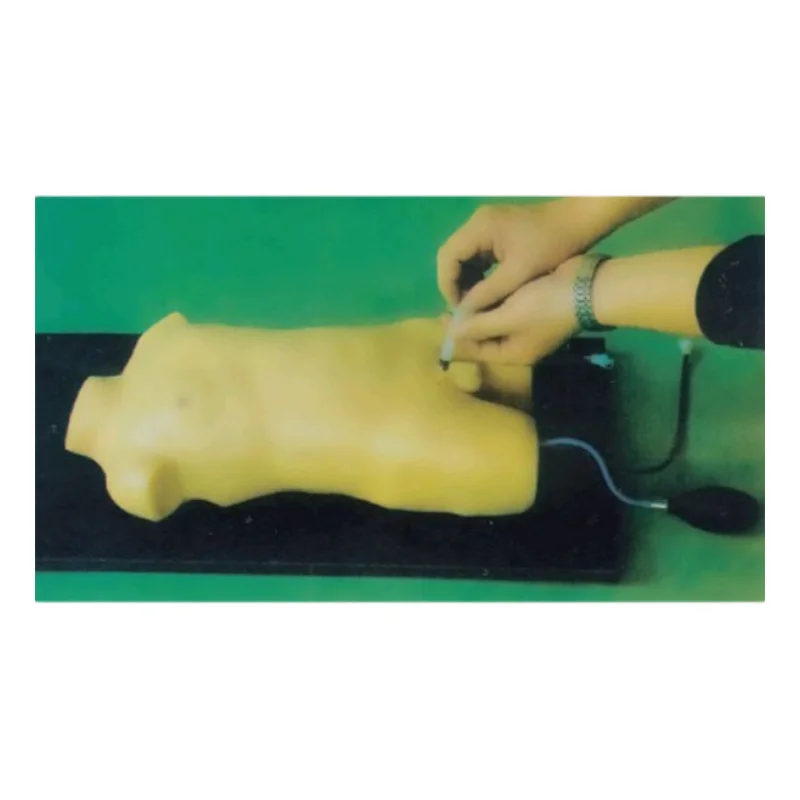 

BIX-L3218 High quality Children femoral vein & femoral artery puncture training manikin