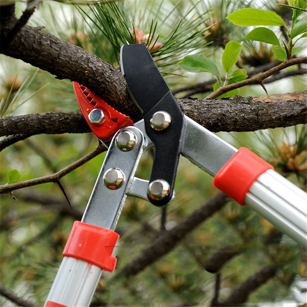 การตัดแต่งกิ่งเครื่องมือ Telescopic กรรไกรต้นไม้ Ratchet Lopper Pruner ขยายสวนเครื่องตัดสาขาเฉือนสวนสวน