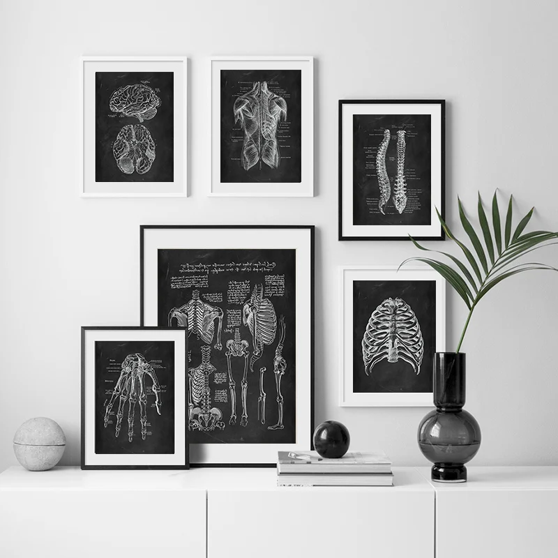 Human Anatomy Artwork Medical Wall Picture Skeleton Organ Muscle System Vintage Poster Canvas Print Body Education Painting view 4