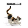 Gato Calico