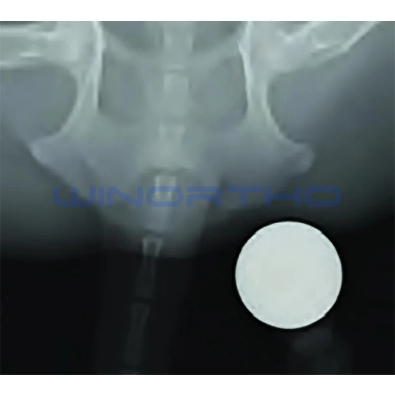 X Ray Reference Ball Radiographic  veterinary orthopedic instrument animal  25mm Diameter pet