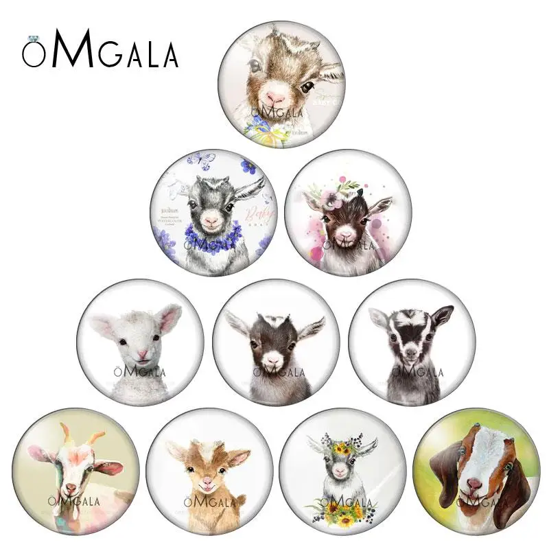 

Art Colorful Baby Goat Paintings 10pcs 8mm/10mm12mm/18mm/20mm/25mm Round photo glass cabochon demo flat back Making findings