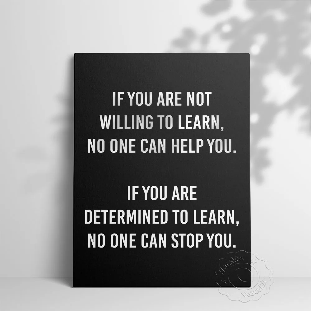 No One Can Stop You Learning Inspirational Poster, Learn Education Wall Art, School Classroom Wall Stickers, Kids Room Decor