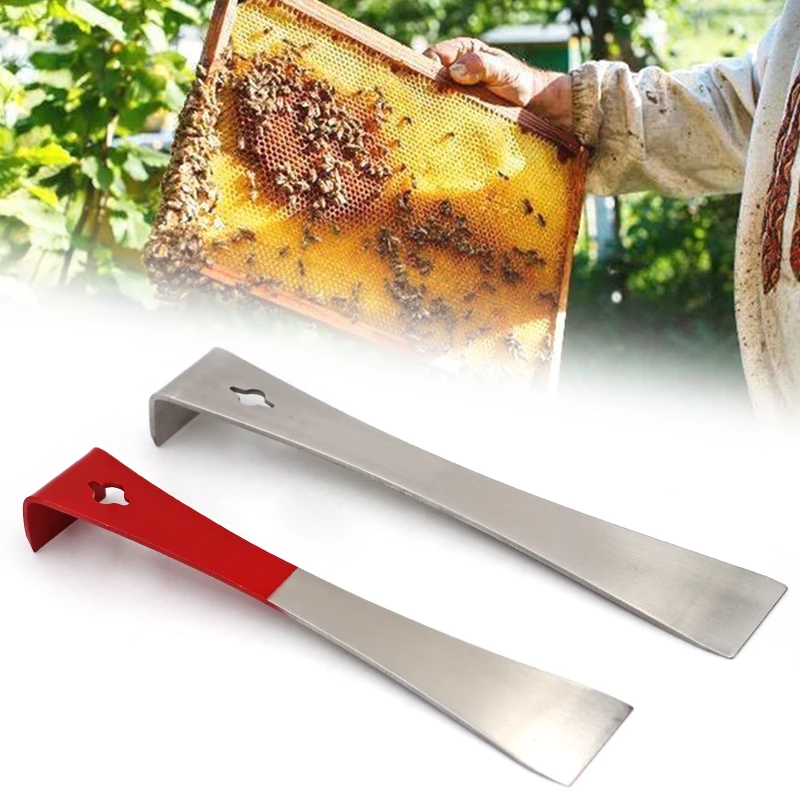 Couteau grattoir pour apiculture, en acier inoxydable pour prendre le couteau à miel, équipement multifonctionnel pour apiculture, outils de