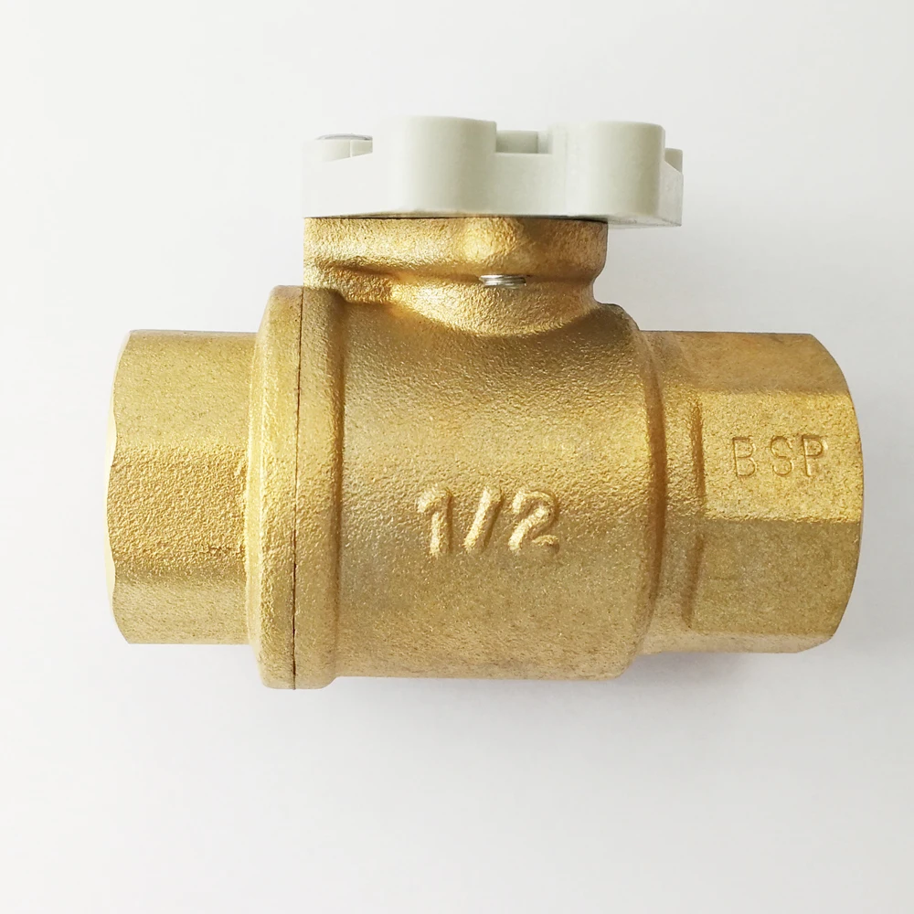 DN15 Brass 2 Way Valve Body with BSP or NPT Thread Used for Motorized Actuator