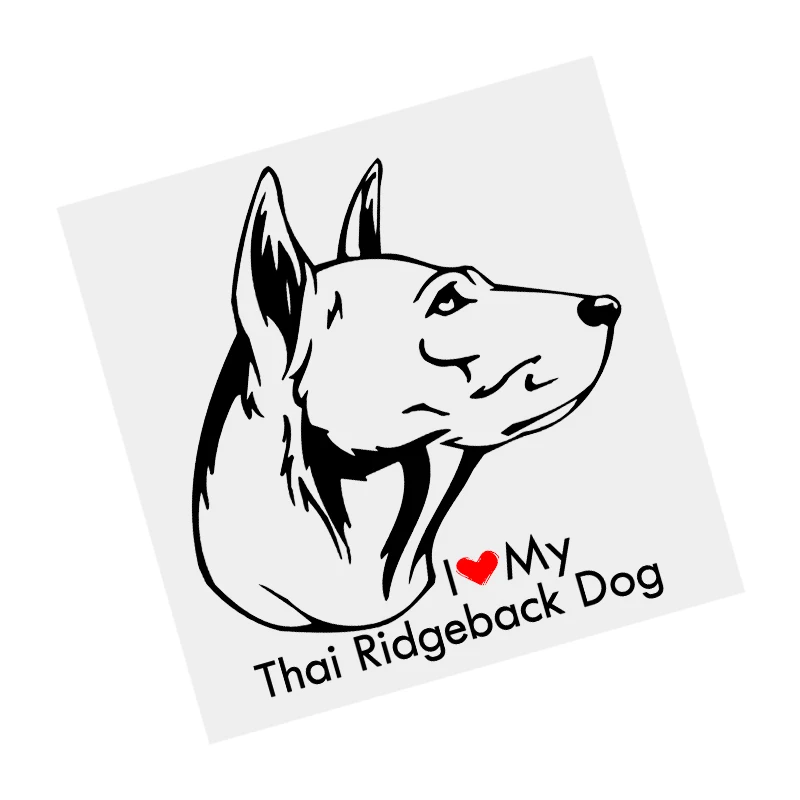 

S61677# Thai Ridgeback Dog Black Transparent Car Sticker Vinyl Decal Waterproof Decors for Motorcycle Bumper Laptop