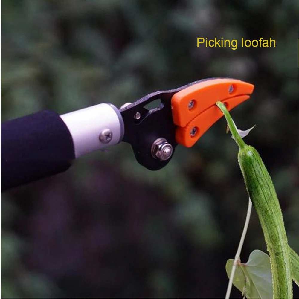

Gardening Fruit Tree Pruning Shears Can Rotate 180 Degrees Plastic Chuck Handle Fruit Picking Shears 0.6 Meters Picking Shears