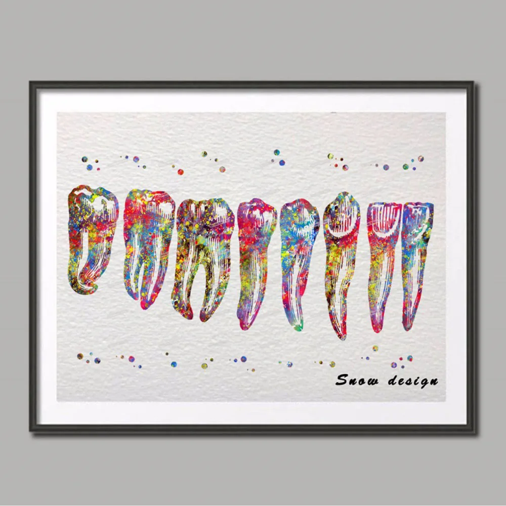 Modular picture poster print original tooth colorful tooth root anatomy canvas painting medicine wall art doctor office decor